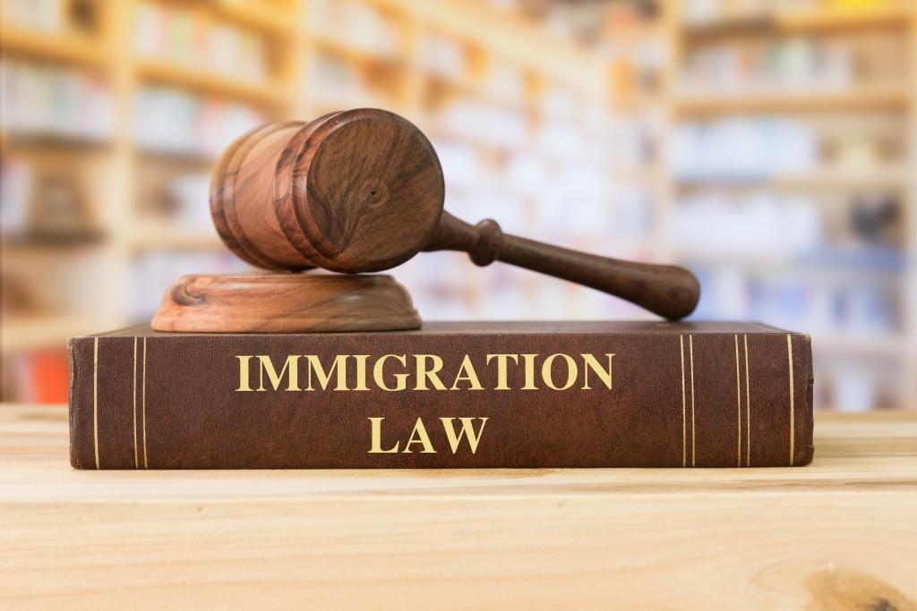 Other Immigration Services