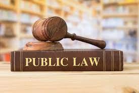 Public Law and Judicial Review
