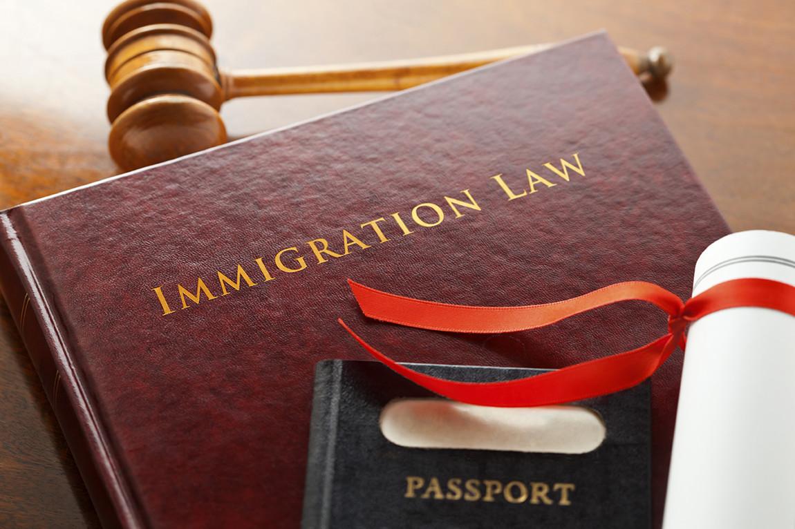 Immigration & Asylum